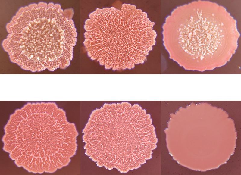 QQ图片20241104112808